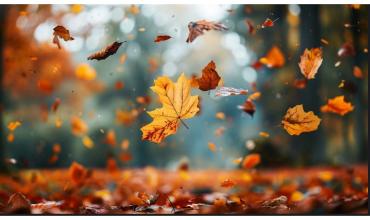 Qué anticipa el SMN para el otoño 2026 en Argentina y cómo será el clima