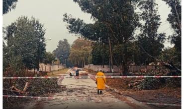 Fuerte temporal de lluvia y vientos: un muerto en Córdoba, una mujer herida en La Plata y cortes de luz en el Gran Buenos Aires