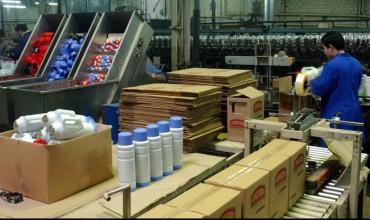 El desafiante mensaje de Lumilagro tras reducir personal: “¿Preferirías que volvamos a contratar y pagar un termo $100 mil más?”