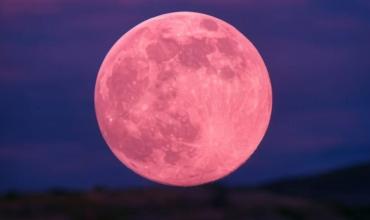 Luna Rosa: a qué hora es su punto máximo y cómo verla en vivo este miércoles 1 de abril