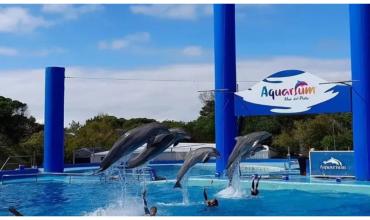 Quebró Aquarium, el icónico acuario de Mar del Plata: qué pasará con sus 66 animales