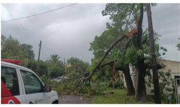 Fuerte temporal en el AMBA: inundaciones, destrozos y miles de usuarios sin luz