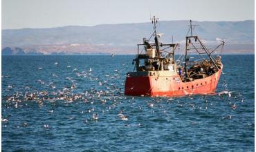 Sebastián Agliano sobre la crisis en la pesca: “La flota va quedando parada”