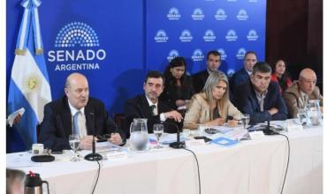 Choque en el Senado: peronistas y Sturzenegger polemizaron sobre la política económica