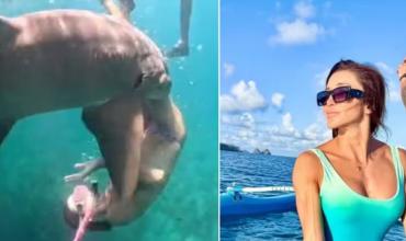 El impactante momento en que un tiburón mordió a una mujer que practicaba buceo en Brasil