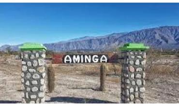 Secuestran armas y carne de guanacos tras operativo en la quebrada de Aminga