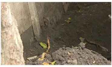 La escabrosa frase que le dijo el presunto asesino de Claypole al nene que encontró a su mamá muerta