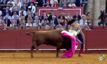 Un famoso torero español fue corneado en Sevilla y está muy grave: la herida es de 10 centímetros
