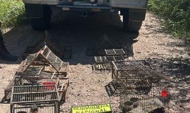 Liberaron animales silvestres y secuestraron armas en operativos en La Rioja