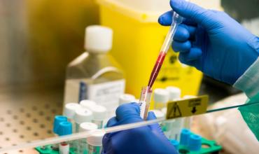 Detectan en Argentina seis casos de un rarísimo grupo sanguíneo