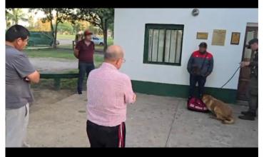 Santa Fe: dos hombres fueron condenados por transportar cocaína como mulas