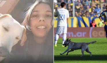 Se escapó, apareció en pleno partido y se volvió viral: la historia de Coco, el perro que sorprendió a todos