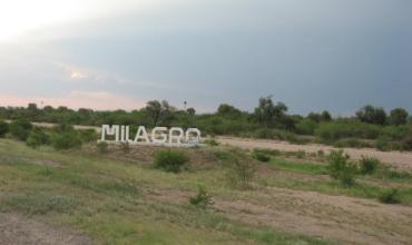 Investigan un caso de abigeato en un campo de Milagro: faenaron animales y dejaron restos en el lugar