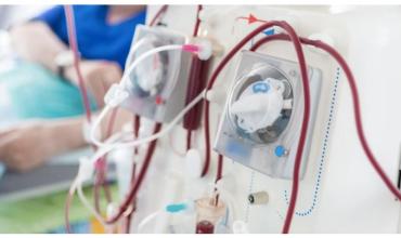 En Argentina, hay 30.000 pacientes en diálisis crónica