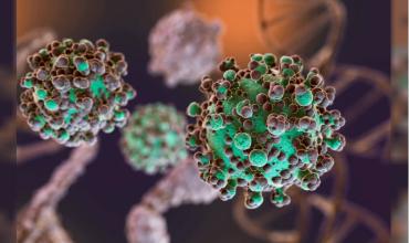 Hantavirus: el total de casos en Argentina asciende a 102