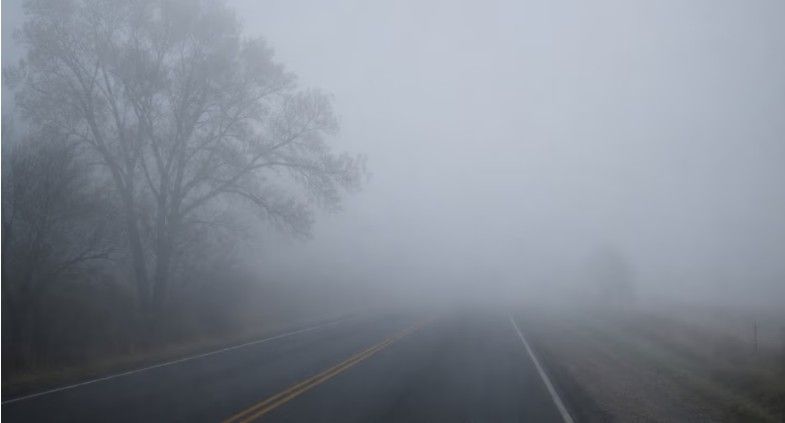 340441_1779759296.jpg