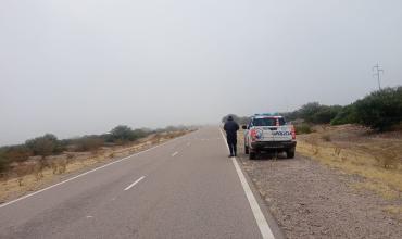 Alerta en Pagancillo por la posible presencia de un puma tras el hallazgo de restos de un animal