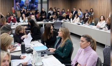 La oposición firmó un dictamen para declarar la emergencia nacional en violencia de género