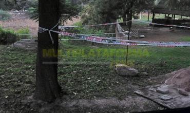 Hallaron restos óseos durante trabajos en el Club Náutico