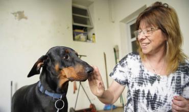 Cannabis medicinal para mascotas: Mendoza es la primera provincia que lo autorizó