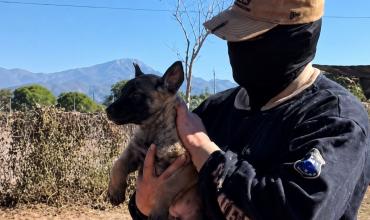 Departamento Canes Antinarcóticos incorporó un nuevo cachorro para reforzar las tareas de detección de drogas