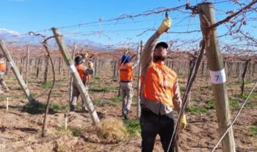 César Taquía: "La caída de las ventas obligó al cierre de dos fincas y se perdieron 22 puestos de trabajo"