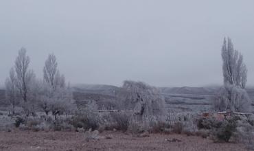 Nevó en distintos puntos del interior de la provincia y dejó postales invernales
