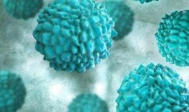 Norovirus: cómo se contagia, cuáles son los síntomas y por qué preocupa el brote en un crucero