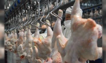 El pollo hace historia en la mesa de los argentinos: ya supera a la carne vacuna en consumo
