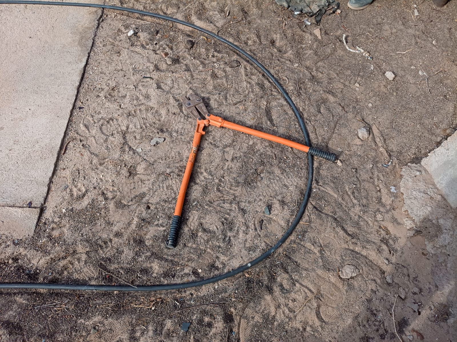 345225_1783269049.jpg