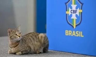 Brasil y la "maldición" del gato: del maltrato a las eliminaciones y la tremenda racha negativa