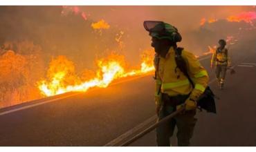 Viento Zonda en Jujuy: ráfagas inéditas en 30 años causaron destrozos e incendios