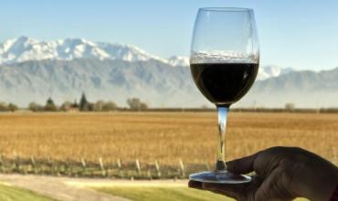 Productores de Chilecito: Provincia analiza nuevas medidas para asistir al sector vitivinícola ante la crisis