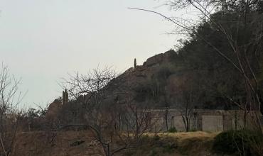 Un incendio iniciado por la quema de malezas provocó daños en una vivienda en Famatina