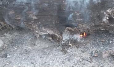 Guanchín: encontraron un tronco de nogal encendido y vecinos sofocaron el fuego