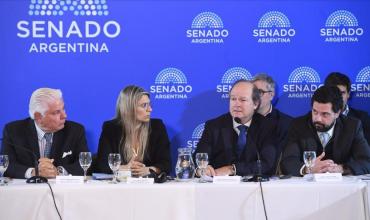 El Gobierno busca blindar el Súper RIGI: el secretario de Hacienda irá al Senado por pedido de la oposición