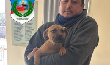 Tras dos semanas de búsqueda, recuperaron a una perrita y la entregaron a su familia
