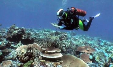 Alarmante récord histórico: el mar Mediterráneo tuvo 33 grados de temperatura