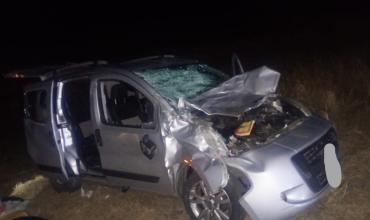 Impactante choque en la Ruta 38: una camioneta embistió de frente a un animal vacuno