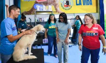 Venezuela abrió un albergue para 400 mascotas rescatadas tras el doble sismo