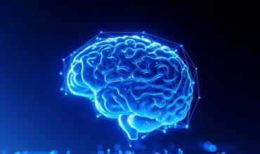 Una encuesta reveló lo que el cerebro necesita y los argentinos no cumplen