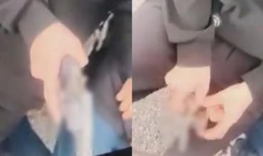Un adolescente de 14 años cargó un arma y disparó dentro de una escuela en Tucumán
