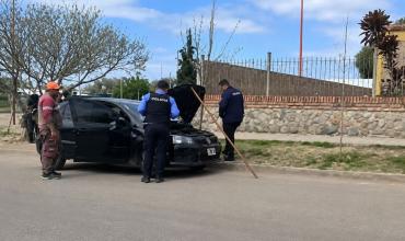 Una serpiente apareció en un automóvil frente a la escuela del barrio Alunay y generó un operativo para rescatarla