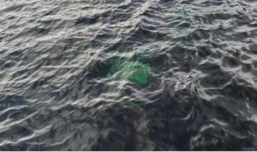Misterio en Chubut: hallaron una camioneta hundida en un lago e investigan cómo llegó allí