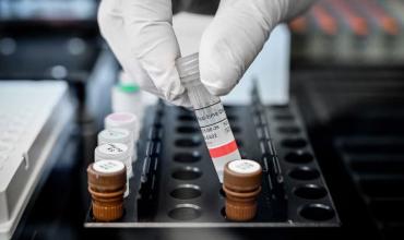 Avances en el nuevo tratamiento contra el cáncer de páncreas: logran reducir el tamaño de los tumores en siete pacientes y eliminar la metástasis en uno