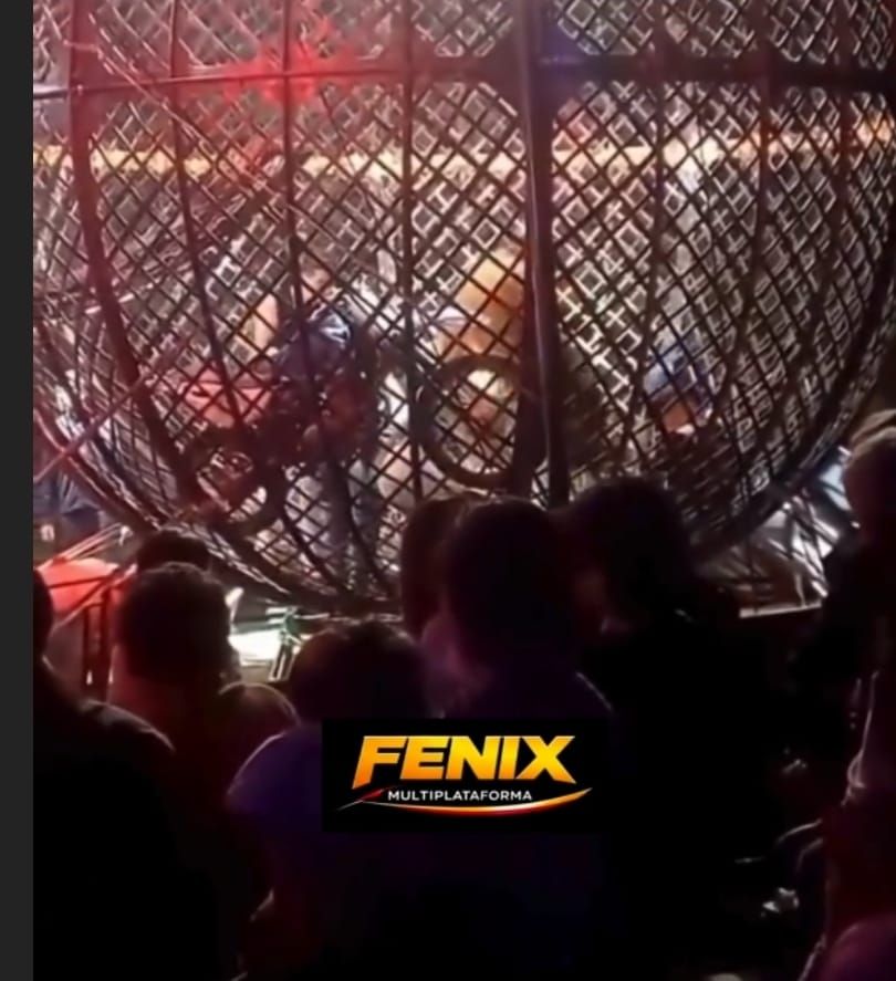 351414_1788220036.jpg