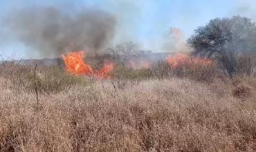 Incendio forestal en Ulapes: el fuego fue sofocado tras avanzar rápidamente por los fuertes vientos
