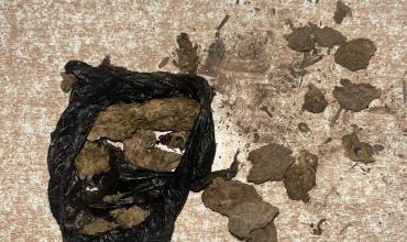 Un perro detector encontró un envoltorio con droga en el perímetro del Servicio Penitenciario Provincial