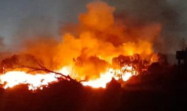 Más de 10 dotaciones de bomberos intentan controlar el incendio en Sarandí: el humo afecta a la autopista Buenos Aires-La Plata