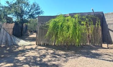 Investigaban el robo de una moto y hallaron dos plantas de cannabis en Aimogasta